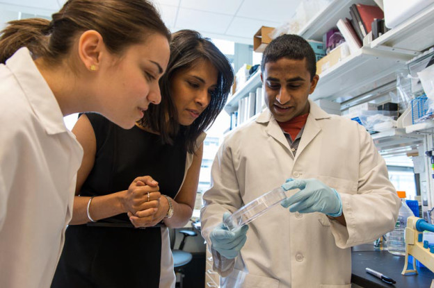 bhatia-3d-printed-tiny-human-liver-1[1]