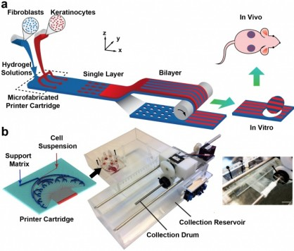 PrintAlive-3D-bioprinter-5[1]